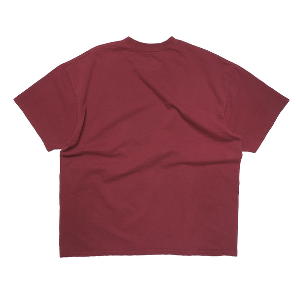 Frank Check tee (1 of 1)
