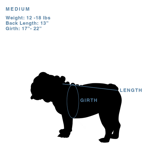 Lodi Doggy Tee (super limited)