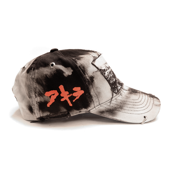 Neo Tokyo Hat (1of1)